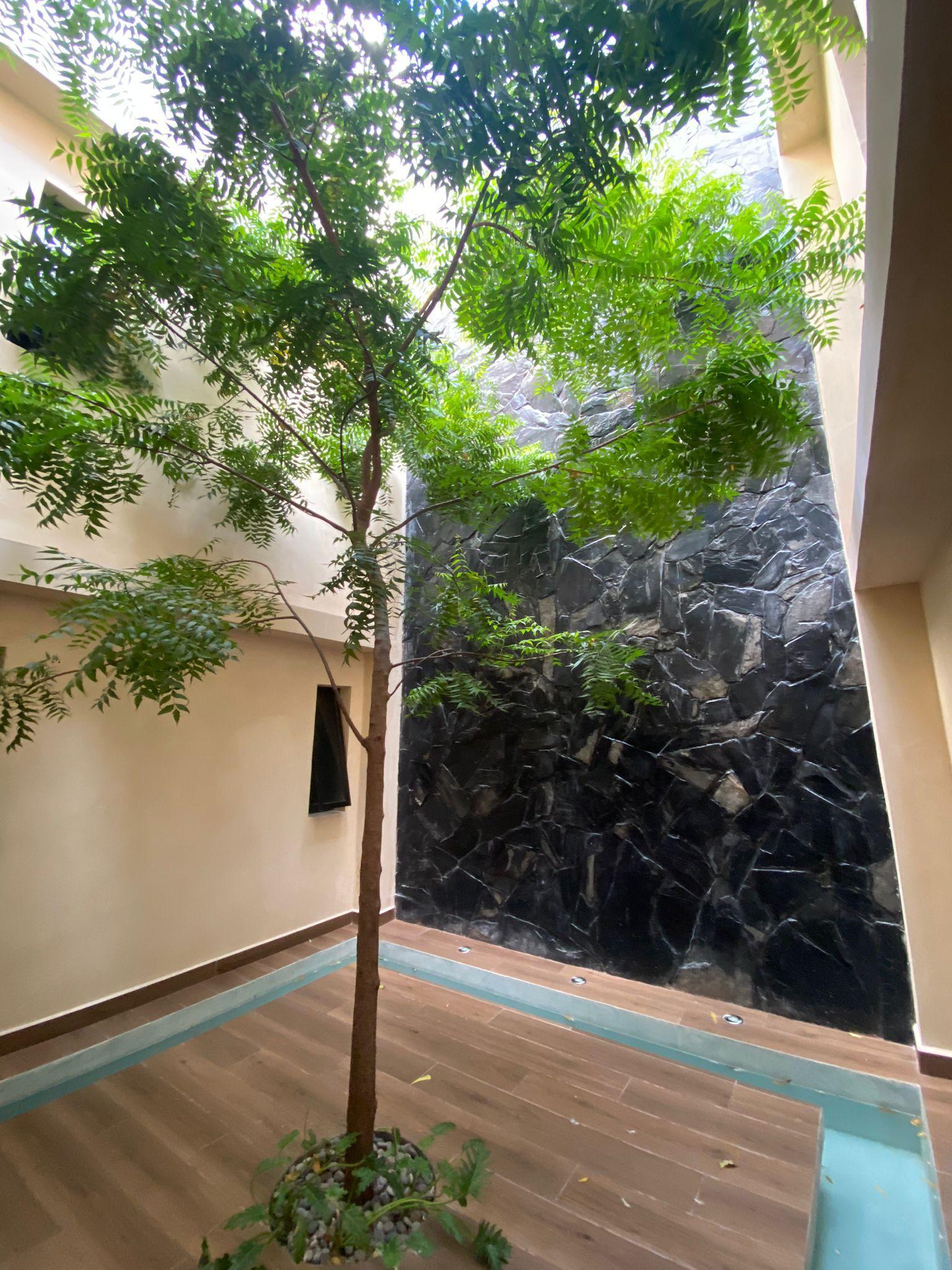 Estudio Amueblado en Renta en Planta Baja – Donceles, Cancún, Cerca de Av. Bonampak
