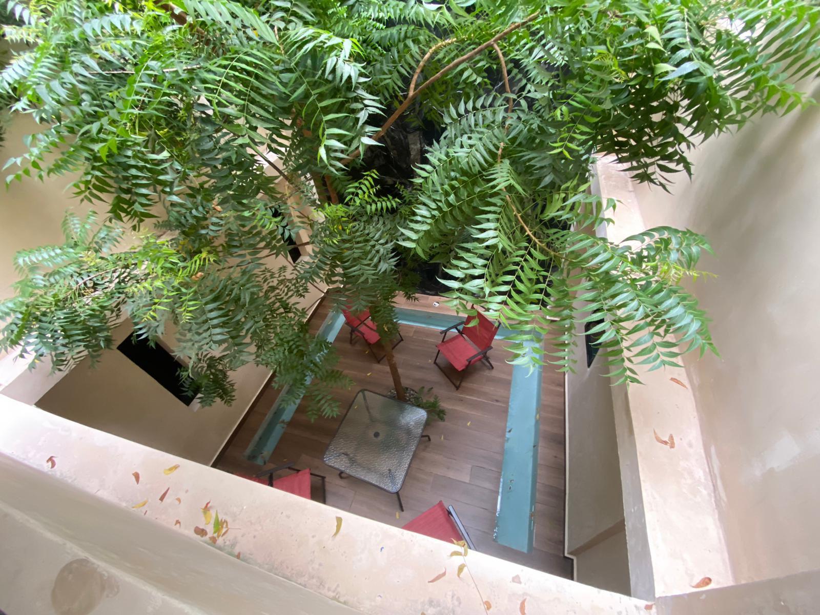 Estudio Amueblado en Renta en Donceles, Cancún – Terraza Privada y Alberca