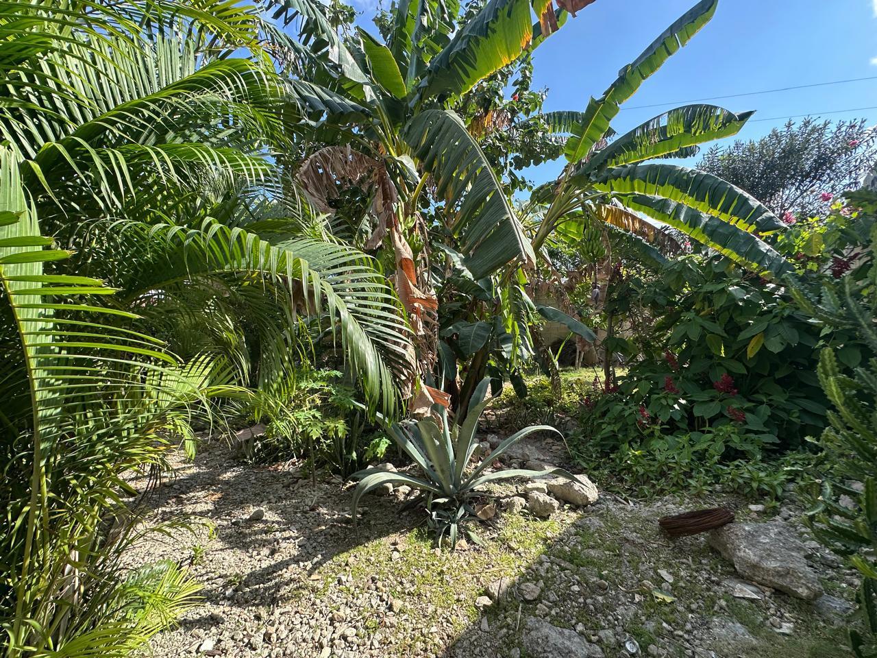 Corner Lot for Sale – 284.5 m² in Gated Community on Av. Huaycán, Cancún